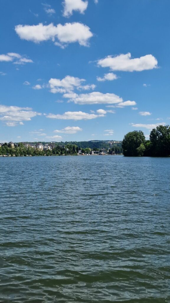 die Mosel, in 5 min zu Fuß